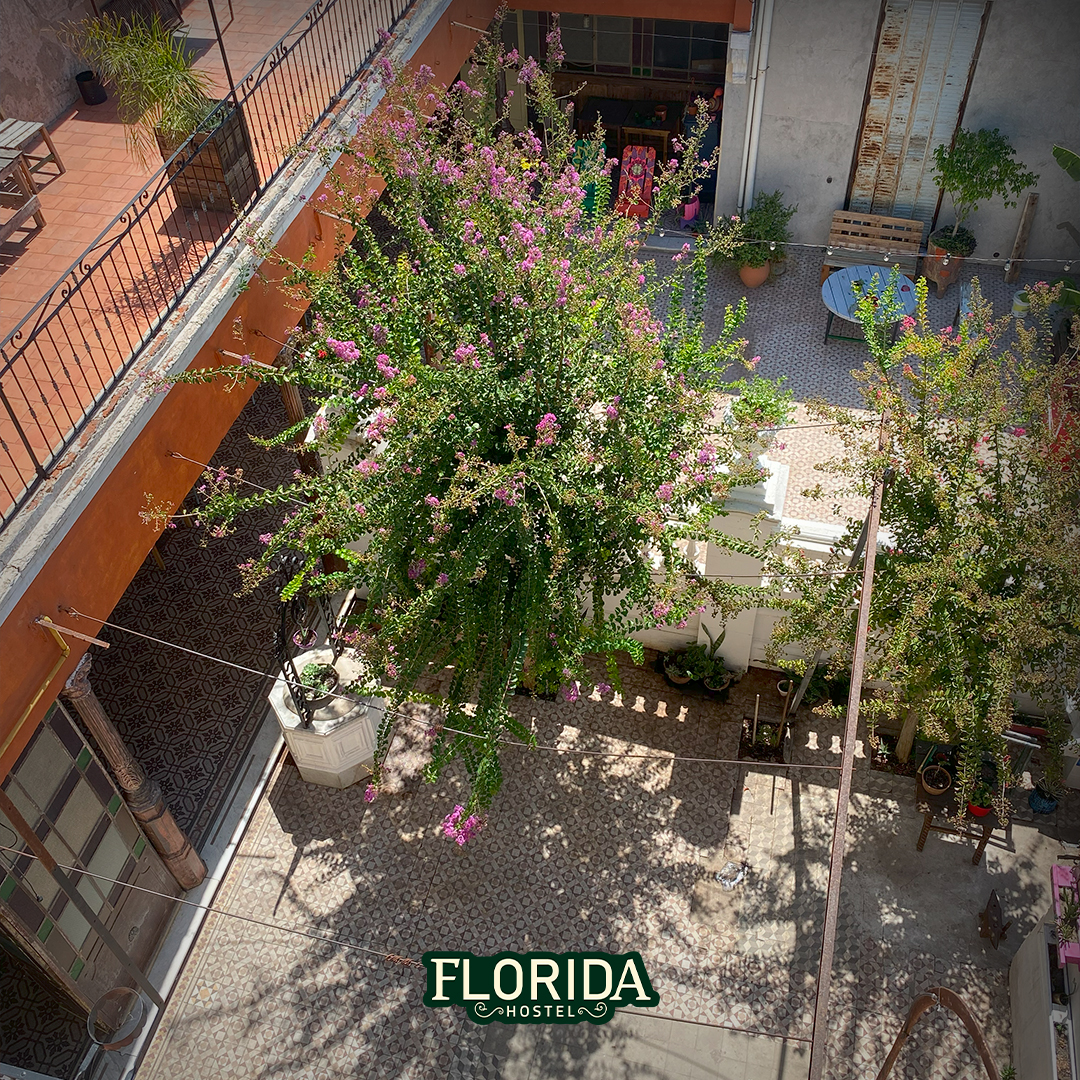 Habitación privada cuádruple familia/amigos